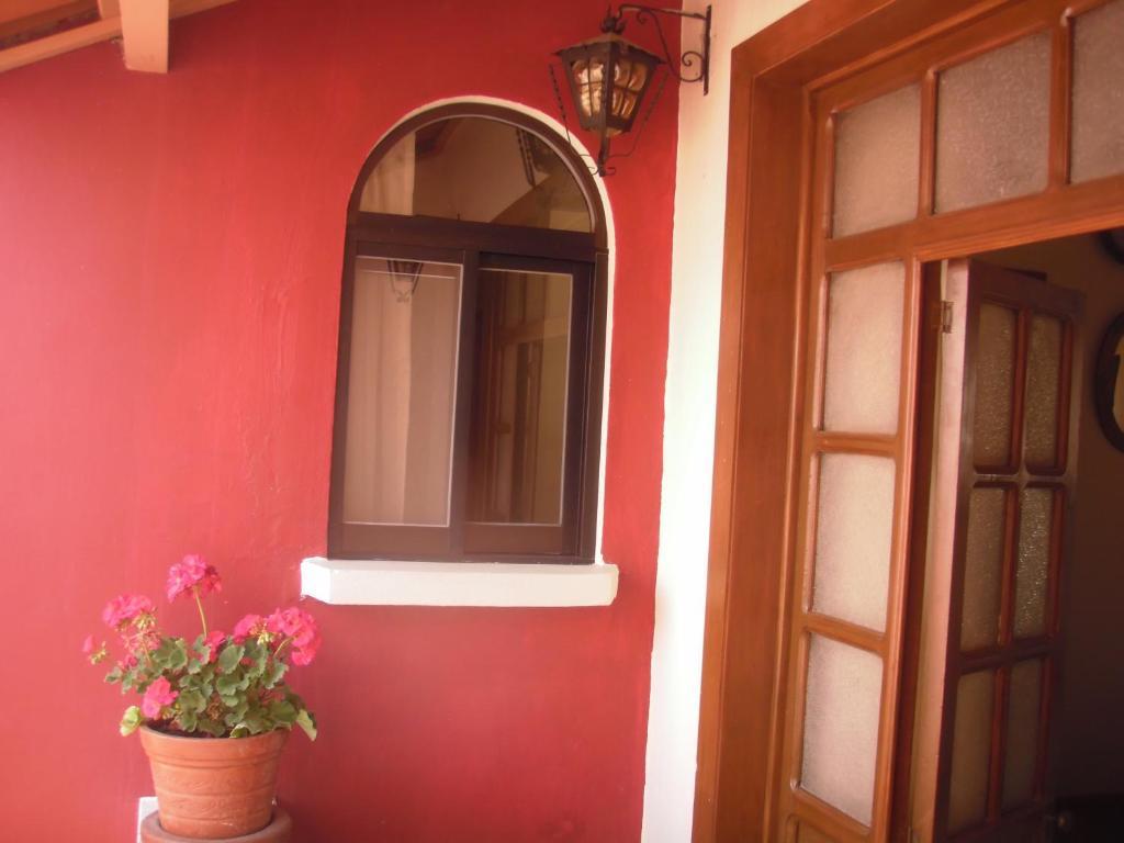 Olga Querida Albergue *