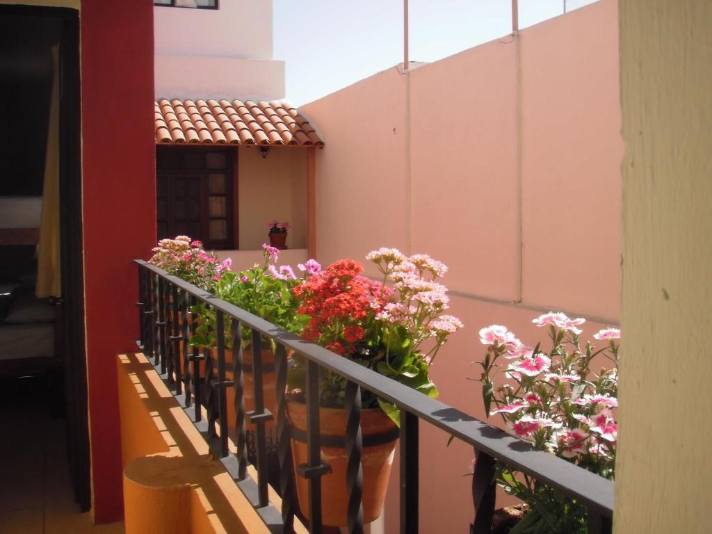 Olga Querida Hostel
