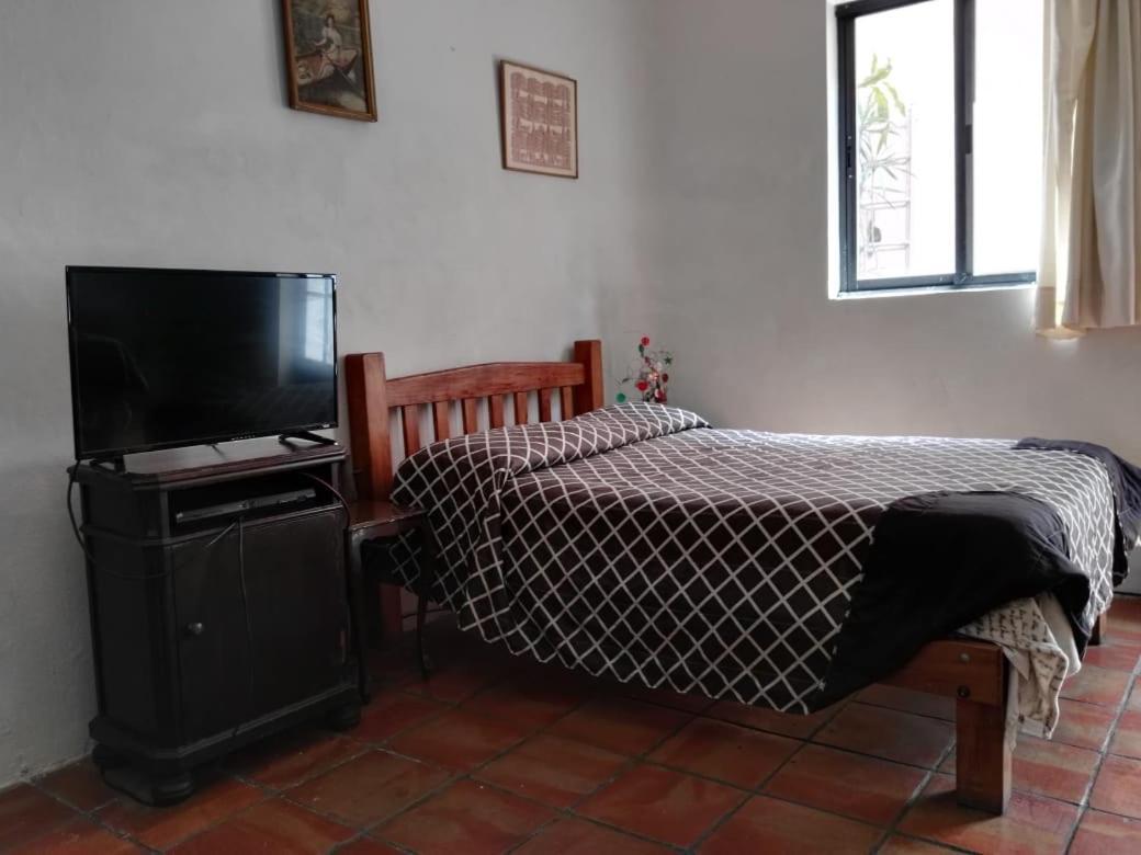 Olga Querida Hostel