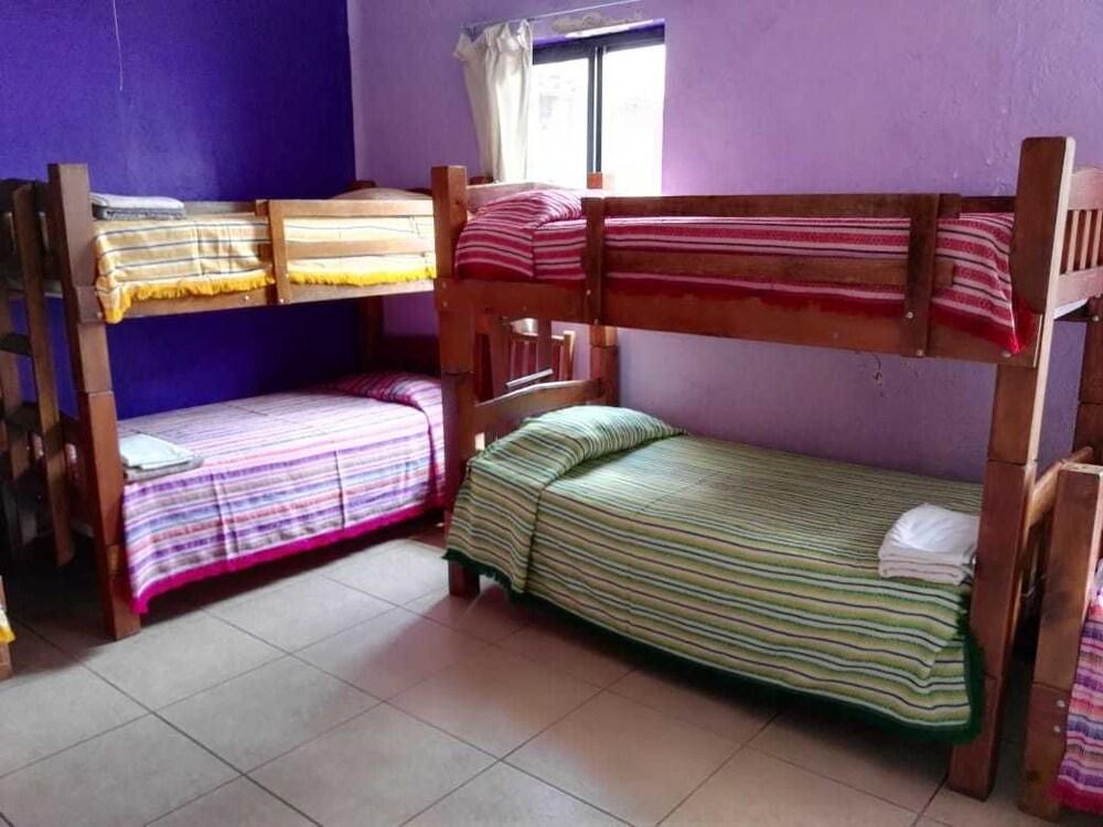 Hostel Olga Querida